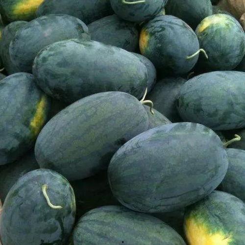 51抖音黑料吃瓜网