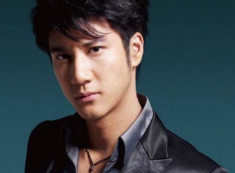 吃瓜网红王力宏简介视频