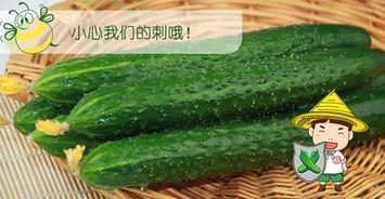 吃瓜网是黄色吗,是黄色网站还是健康娱乐平台？