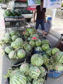 陇南网红事件吃瓜,揭秘网络舆论的风暴与真相