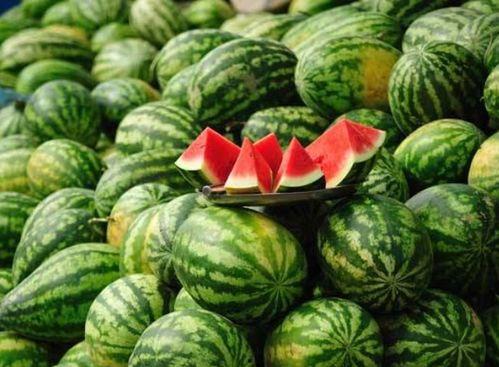 vx网红吃瓜免费入口,独家爆料，带你领略娱乐圈幕后风云