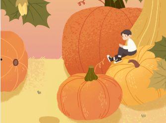 吃网瓜吃多了好不好呢图片