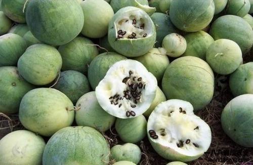 全球吃瓜俱乐部官网,揭秘网络热点的幕后故事