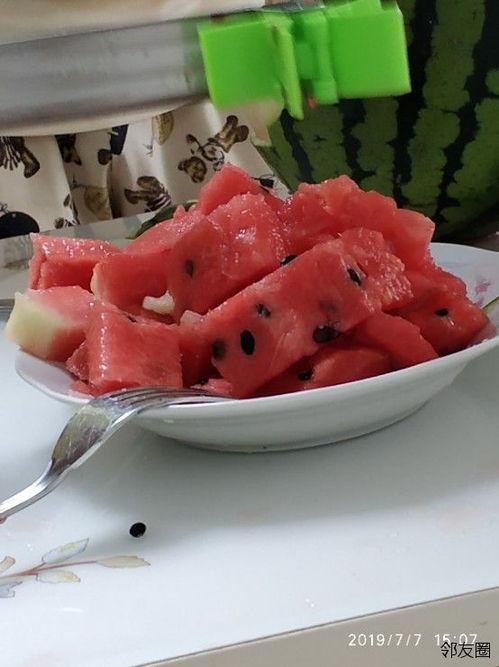 网红爆款吃瓜神器下载安装,下载安装攻略，轻松解锁吃瓜新姿势