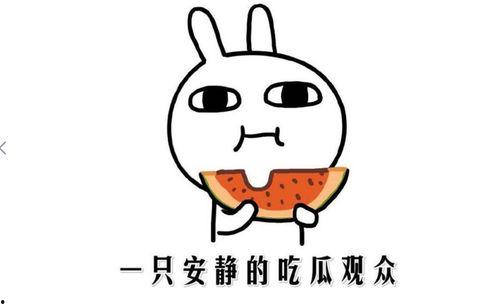 热门网红吃瓜网站