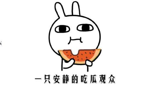 《吃瓜网》,吃瓜网带你领略明星幕后故事