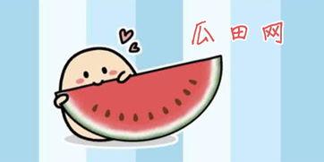 yourport吃瓜网,网络舆论场的新势力崛起