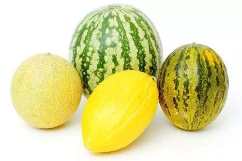 瓜瓜热吃瓜网,揭秘娱乐圈最新热点，带你畅游八卦海洋